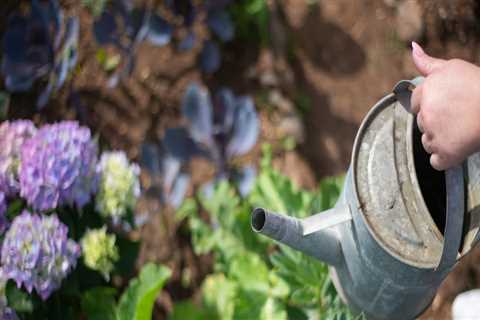 Effective Water Conservation Techniques for a Sustainable Garden
