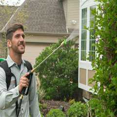 Avoiding Common Mistakes in Tree Management: A Guide for Homeowners and Professionals