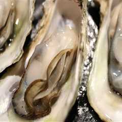 Oyster Restaurant in Morro Bay with a Subtle Nod to Asian Cuisine