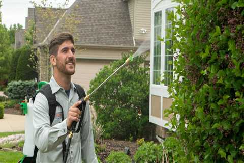 Avoiding Common Mistakes in Tree Management: A Guide for Homeowners and Professionals