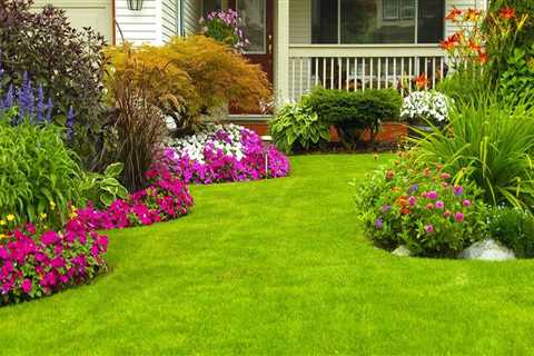 Sustainable Lawn Care: How to Achieve a Lush Lawn Without Over-Fertilizing