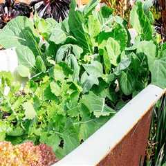 Natural Methods to Enhance Soil Fertility for Thriving Gardens