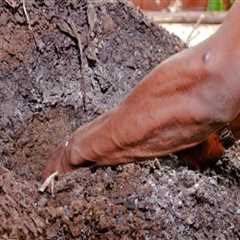 The Vital Role of Soil Fertility in Sustainable Agriculture
