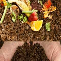 Enhancing Soil Fertility Through Composting: A Sustainable Approach