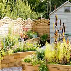 Designing a Low-Maintenance Garden: Strategies for Efficiency