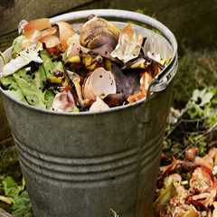 Using Compost for Effective Garden Maintenance