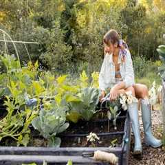 Natural Pest Control Methods for Effective Garden Maintenance