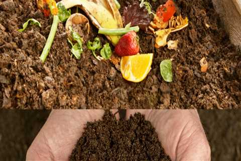 Enhancing Soil Fertility Through Composting: A Sustainable Approach