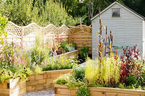 Designing a Low-Maintenance Garden: Strategies for Efficiency