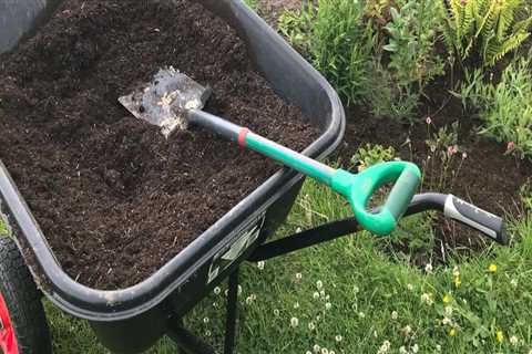 Maximizing Garden Maintenance with Mulch: Techniques and Benefits