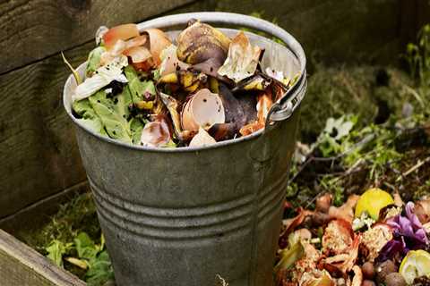 Using Compost for Effective Garden Maintenance