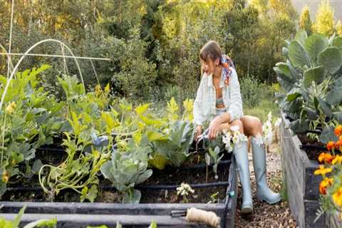 Natural Pest Control Methods for Effective Garden Maintenance