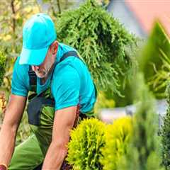 Harmonizing Indoor Plant Care with Outdoor Landscaping