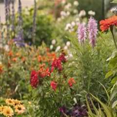 Creative Ways to Infuse Color into Your Ornamental Garden