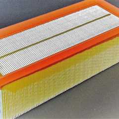 Enhance Indoor Plant Care with BDP Air Filters