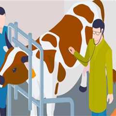 Understanding Common Livestock Diseases and Their Management in Animal Husbandry