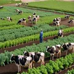 The Role of Dairy Farmers in Promoting Sustainable Agriculture Practices