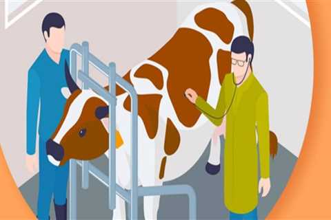 Understanding Common Livestock Diseases and Their Management in Animal Husbandry