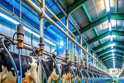 The Impact of Technology on Modern Dairy Farming Practices