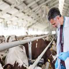 Essential Treatments for Common Livestock Illnesses