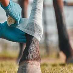 Essential First Aid Techniques for Livestock Injuries